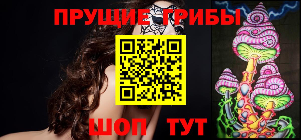 наркотики  Вход с VPN  Павлово  Галлюциногенные грибы MAGIC MUSHROOMS 