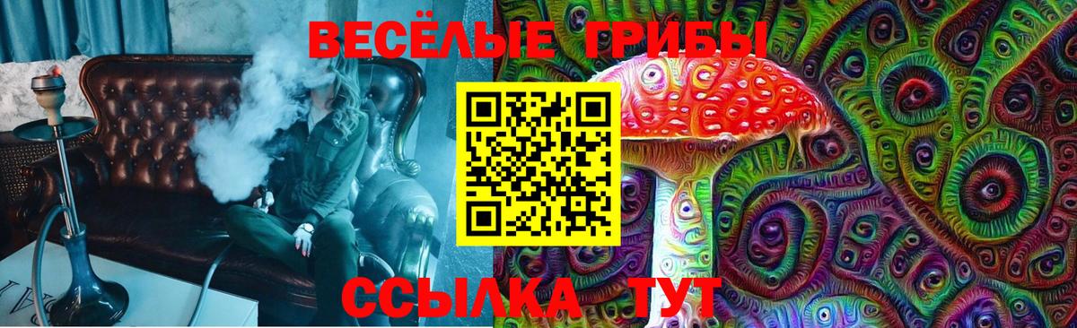 Галлюциногенные грибы прущие грибы Павлово